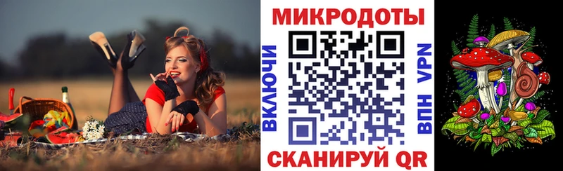 купить   Ярославль  Псилоцибиновые грибы Psilocybine cubensis 