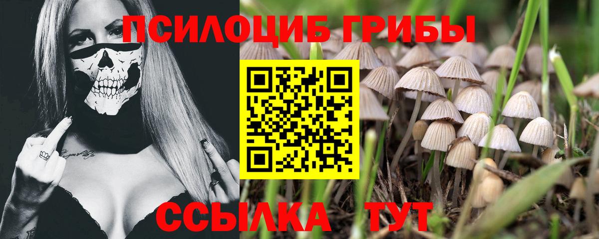Ярославль  Cocaine  МЕФ  Марки  Вход с VPN  Мяу-Мяу 