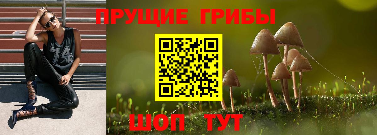 Галлюциногенные грибы Cubensis Ярославль