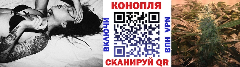 где найти   Ярославль  omg рабочий сайт  МАРИХУАНА ГИДРОПОН 
