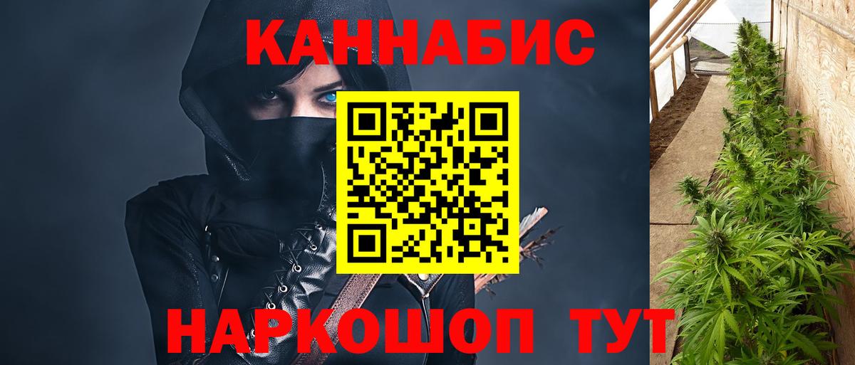 Каннабис Ganja  Вход с VPN  Марихуана White Widow  Канабис планчик  Ярославль 
